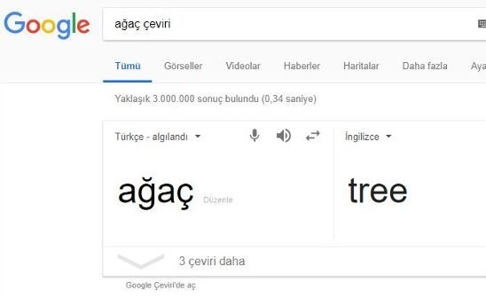 googleceviri.jpg