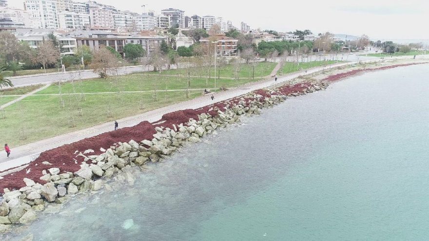 Caddebostan Sahili kızıla büründü