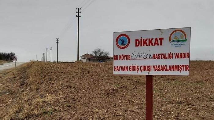Kırşehir’de şarbon paniği! Hayvan giriş çıkışları yasaklandı
