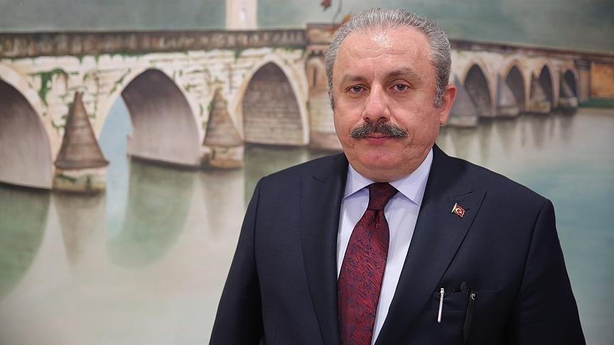 meclis in 100 yilina dunya sahit