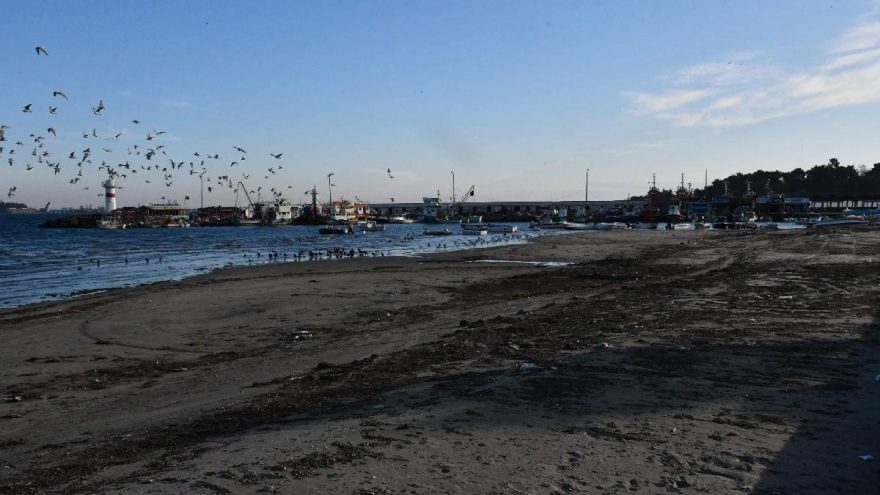 Tekirdağ’da deniz 30 metre çekildi