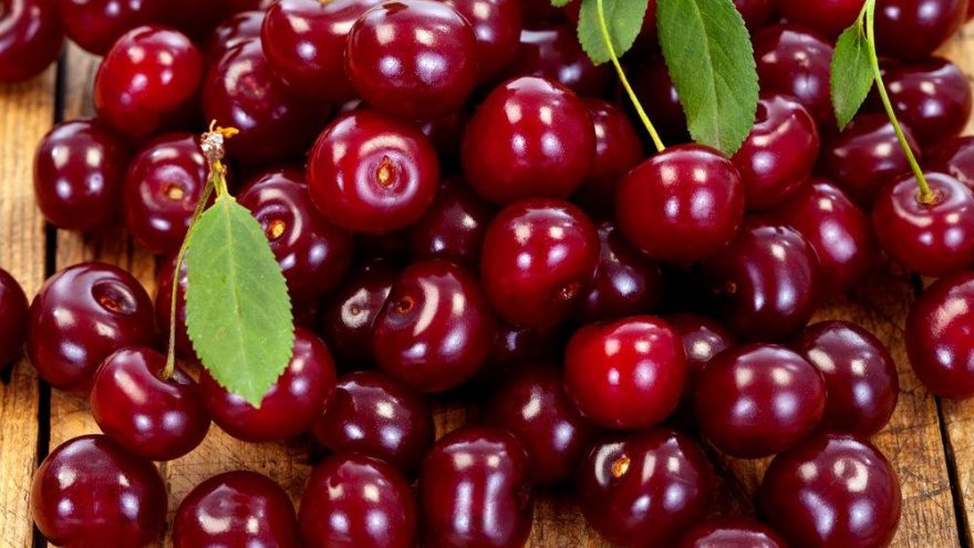 Vişne kaç kalori? Vişnenin besin değerleri