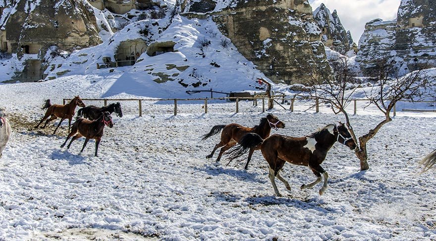 İlginç ve gizemli vadileri, yürüyüş sporu için bulunmaz doğal parkur olan Kapadokya’da her sabah havalanan yüzlerce balon görsel bir şölen oluşturuyor.