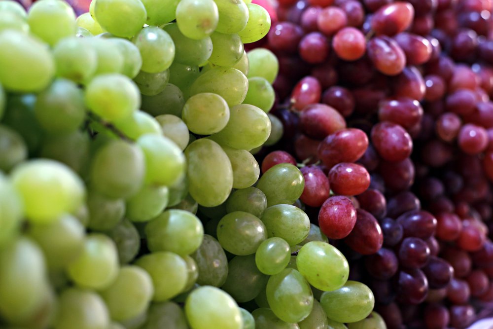 Özellikle kanser ve resveratrol arasındaki ilişkiyi araştıran pek çok bilimsel yayın bulunuyor. Bu yayınlar kırmızı üzüm çekirdeği özütü ve resveratrolün değişik kanser hücre dizilerinde sitotoksik etki gösterdiğini ortaya koyuyor. Sitotostik etki; hücreye toksik şekilde etki edip hücreyi öldüren ya da fonksiyonunu durduran maddelerdir.