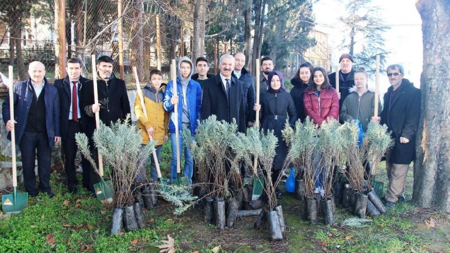 Fidanlar ‘Toprak Dede’ anısına dikildi