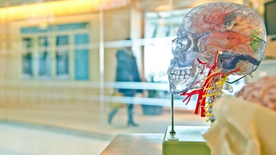 Prof. Dr. Uğur Batı: Düzensiz gelir beyin sağlığını olumsuz etkiliyor