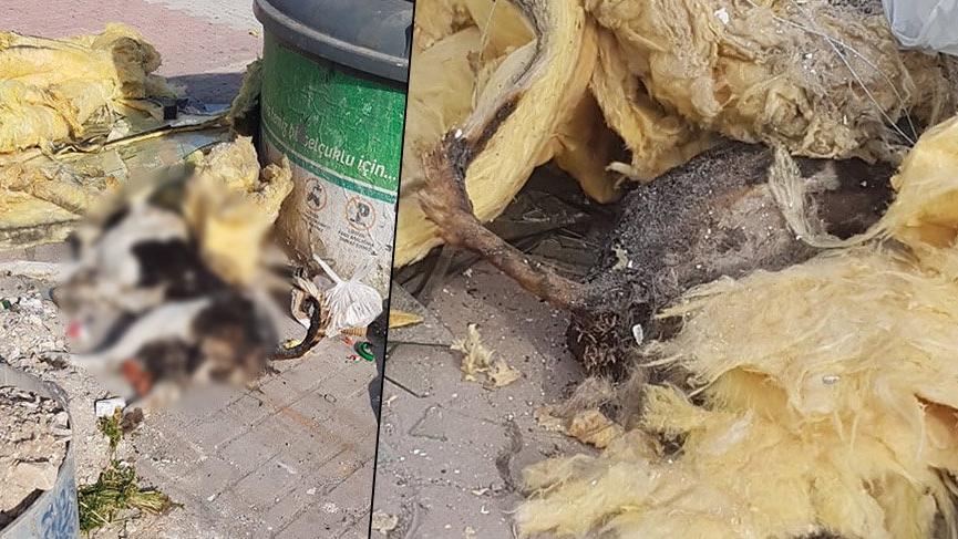 Konya’da vahşet! Çöpte bulundu
