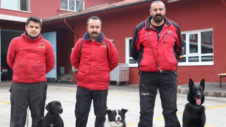 Sokakta bulunup eğitilen ‘Ex’ ve ‘Dora’ depremde hayat kurtardı