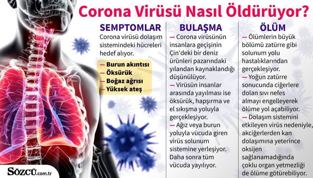 corona virusu nedir nasil bulasir tedavisi var mi son dakika haberleri