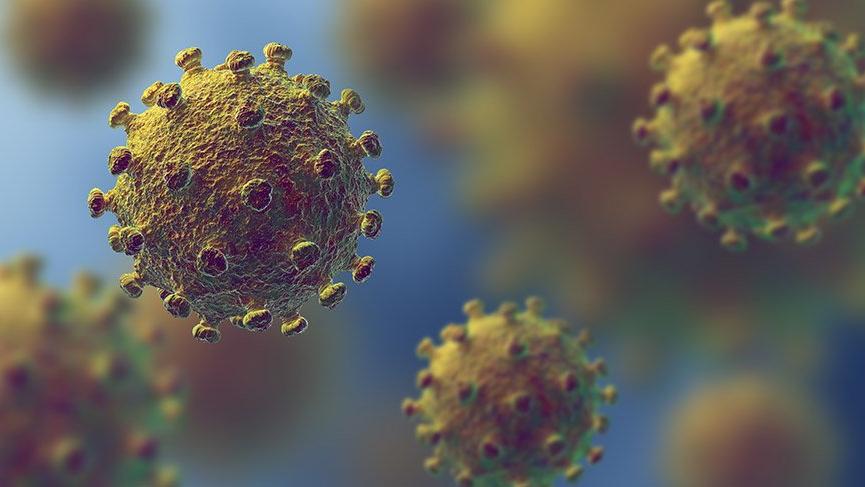 Coronavirus Salgını' hakkında merak edilen her şey - Sağlık son ...