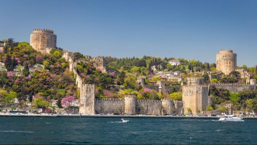 İstanbullular şimdi de ağacını seçecek