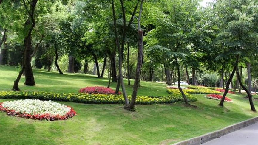 İstanbul ‘Erguvan’ dedi