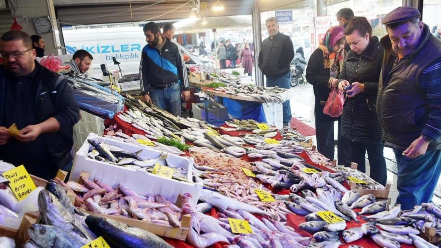 Dev yayın balığı, kilosu 30 liradan satıldı