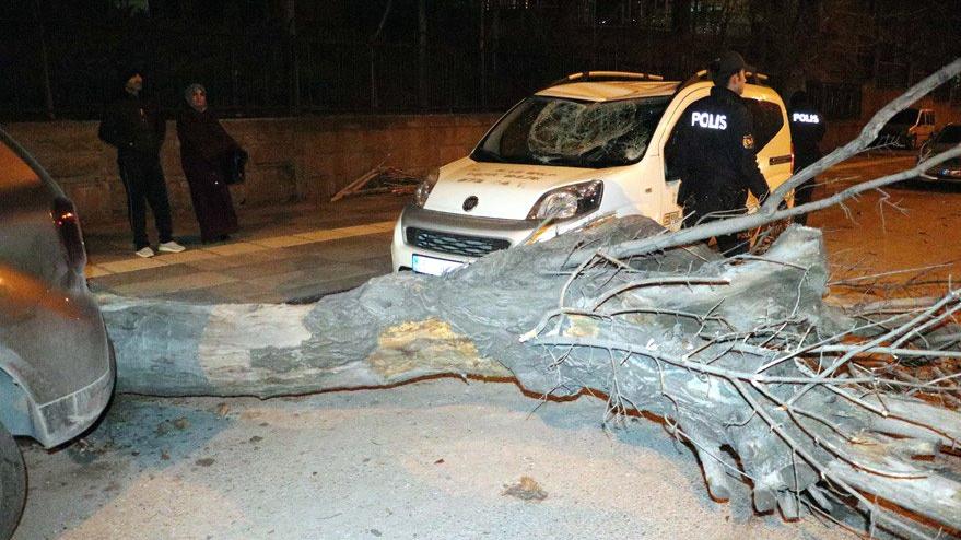 Başkent’te çatılar uçtu, ağaçlar devrildi