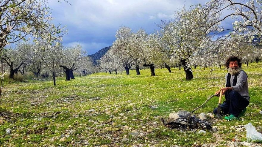 Datça beyaz ve pembe gelinliğe büründü