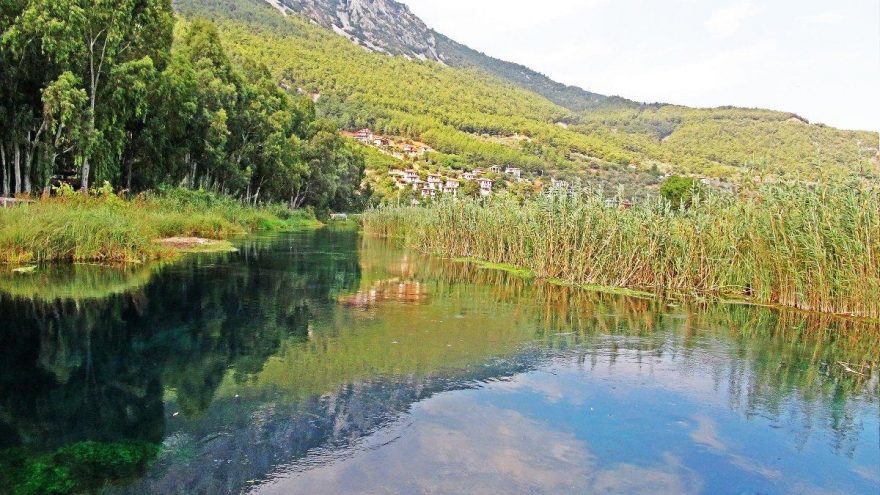 Akyaka’da koruma altındaki sazlıklar kesildi