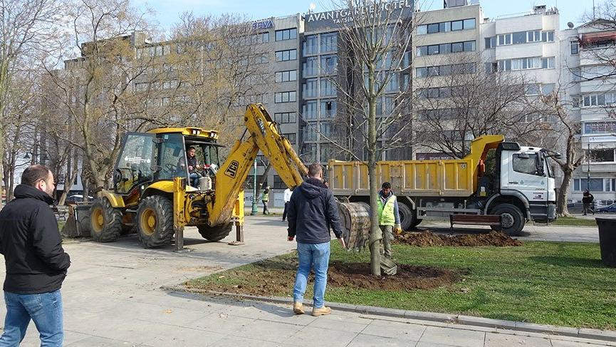 Gezi Parkı’na 150 ağaç dikiliyor!
