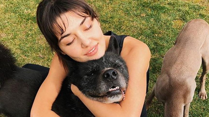 Hande Erçel’in hayvan sevgisi