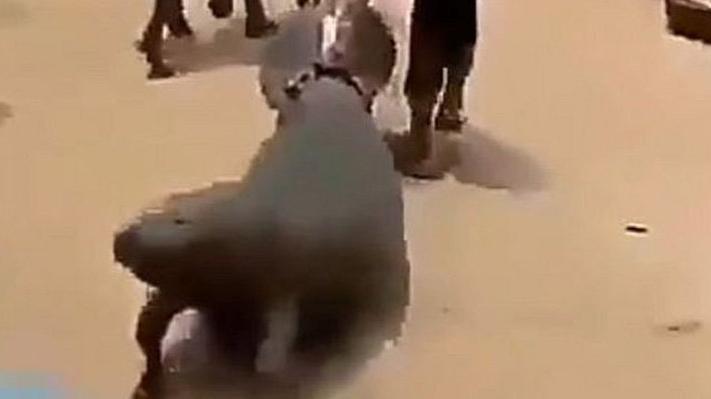 Sokaklarda sürüklendi, ülke ayağa kalktı