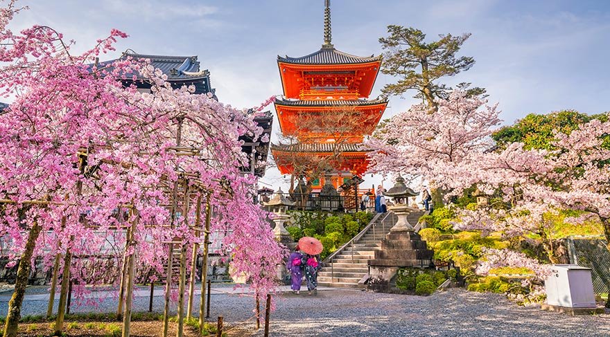 kyoto1.jpg