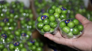 Kilogram Fiyati Ceyrek Altini Gecti Ekonomi Haberleri