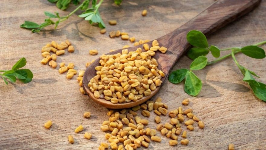 Çemen otu kaç kalori? Çemen otunun besin değerleri ve kalorisi…