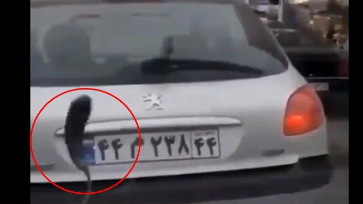 İran’da patlıcan yağdı iddiası tedirgin etti!