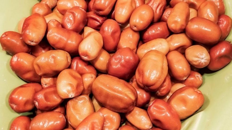 İğdenin faydaları nelerdir? İğde neye iyi geliyor?