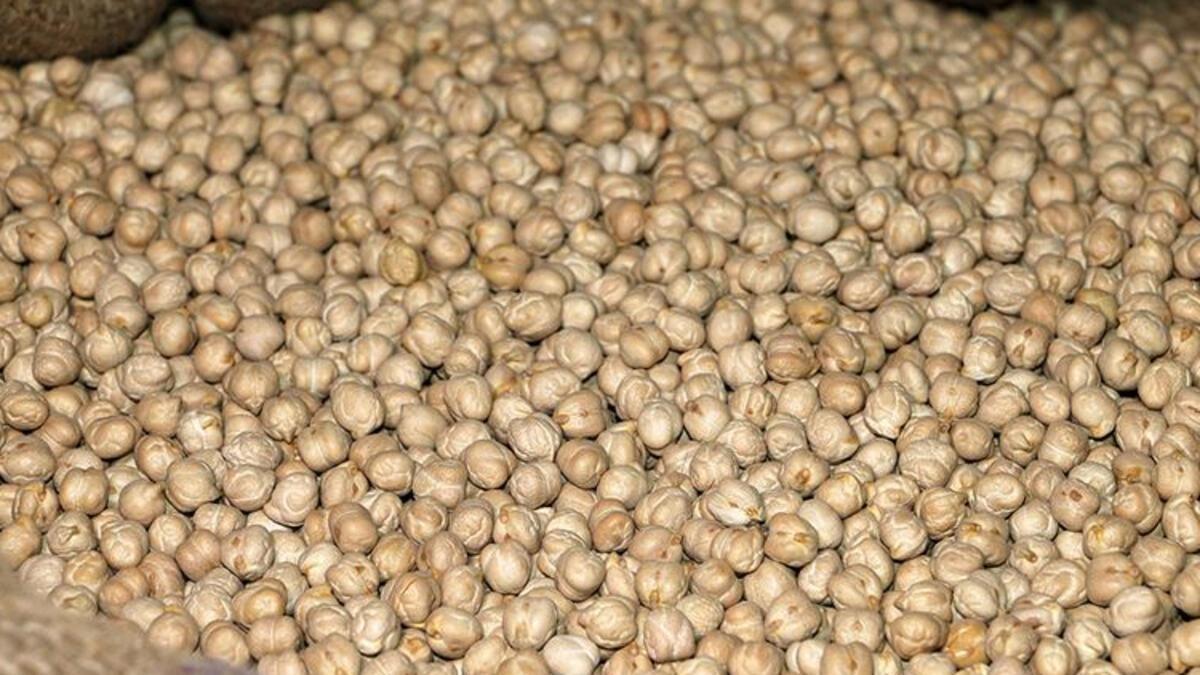 Goze Bakliyatlar Fiyatlari Ve Cesitleri