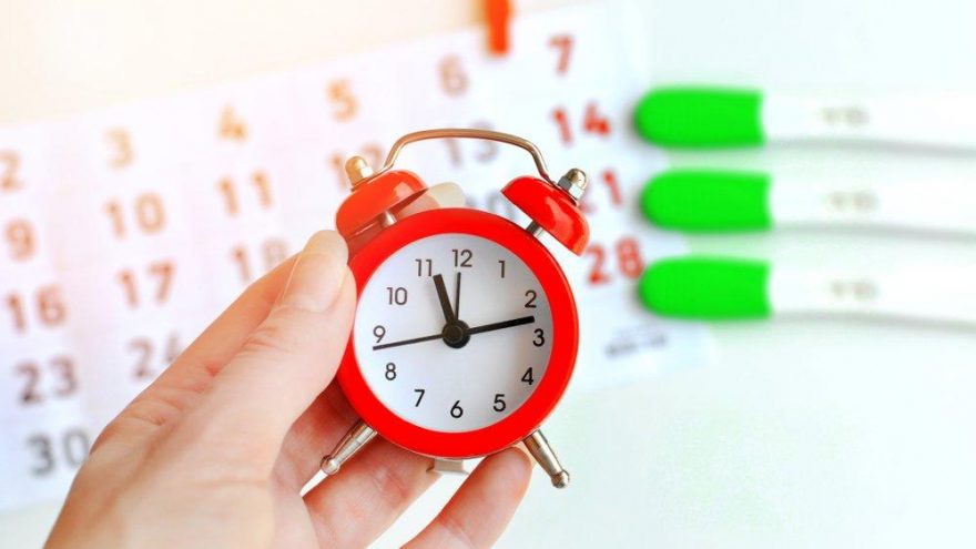 Ovulasyon nedir? Belirtileri nelerdir?