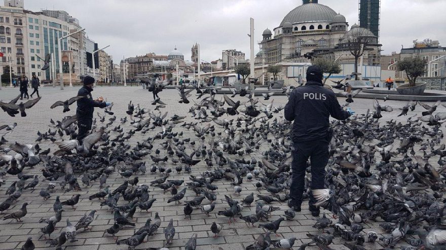 Taksim’de aç kalan güvercinleri polisler besledi