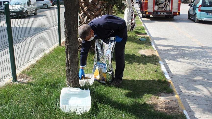 Kahta’da sokak hayvanları için mama ve su bırakılıyor