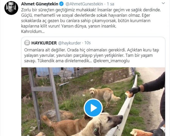 Ahmet Güneştekin aç hayvanların görüntülerine kahroldu KültürSanat