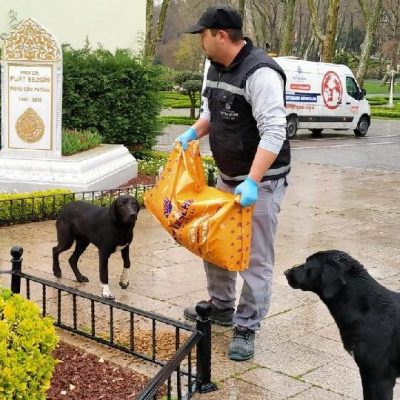 Ibb Sahipsiz Dostlari Unutmadi Guncel Yasam Haberleri
