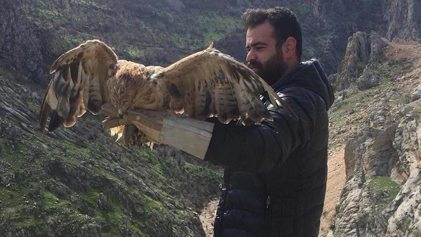 Şırnak’ta tedavi edilen şahinler doğaya bırakıldı
