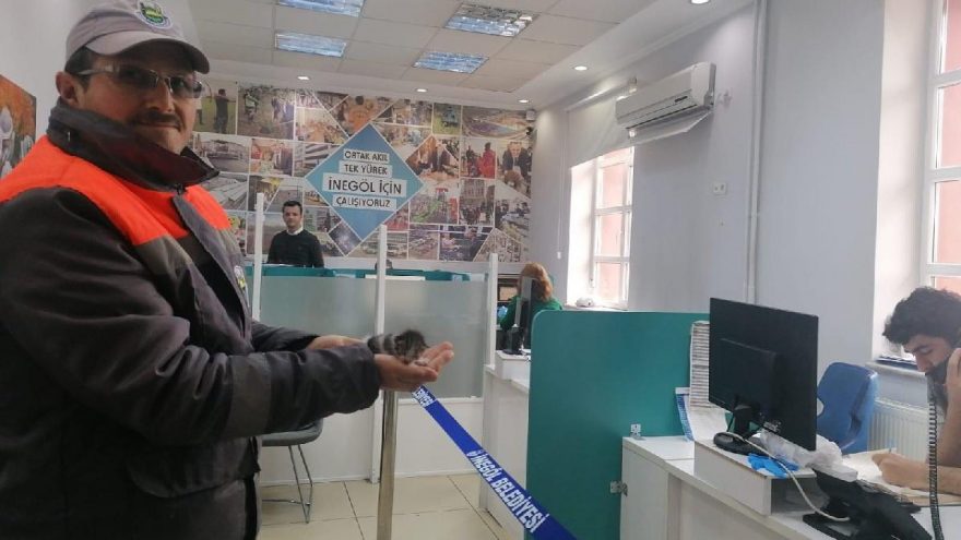 Corona virüsü sokak hayvanlarını da vurdu