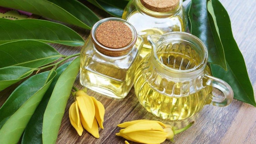 Ylang ylang yağı nedir? Ylang ylang yağının sağlığımıza faydaları nelerdir?
