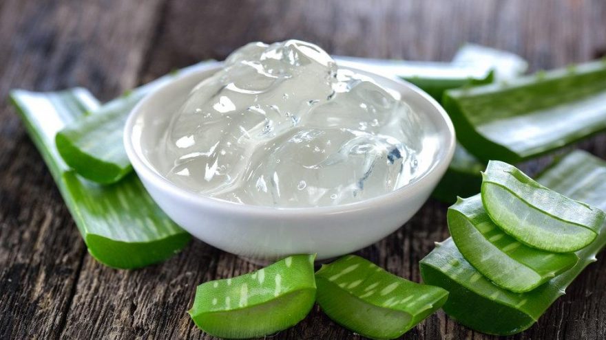 Aloe vera nedir? Aloe veranın sağlığımıza faydaları nelerdir?