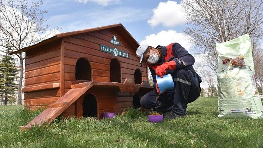 Karatay’da sokak hayvanları unutulmuyor