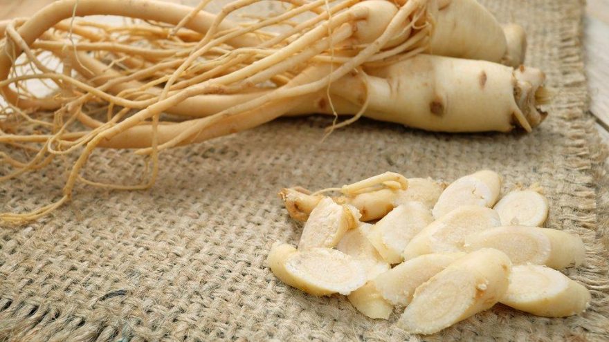 Ginseng nedir? Ginsengin sağlığımıza faydaları nelerdir?
