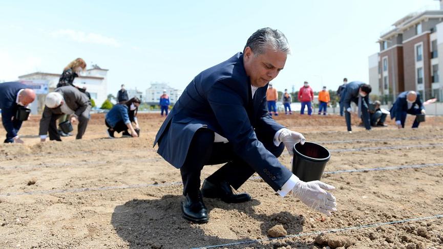 Antalyalılar kıtlık korkusuyla mısır ekti