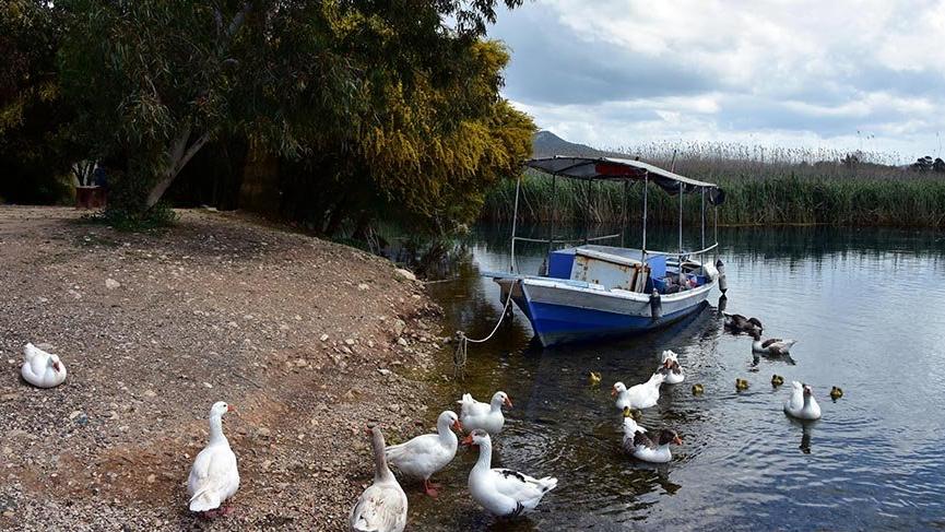 Sakin şehir Akyaka ördeklere kaldı
