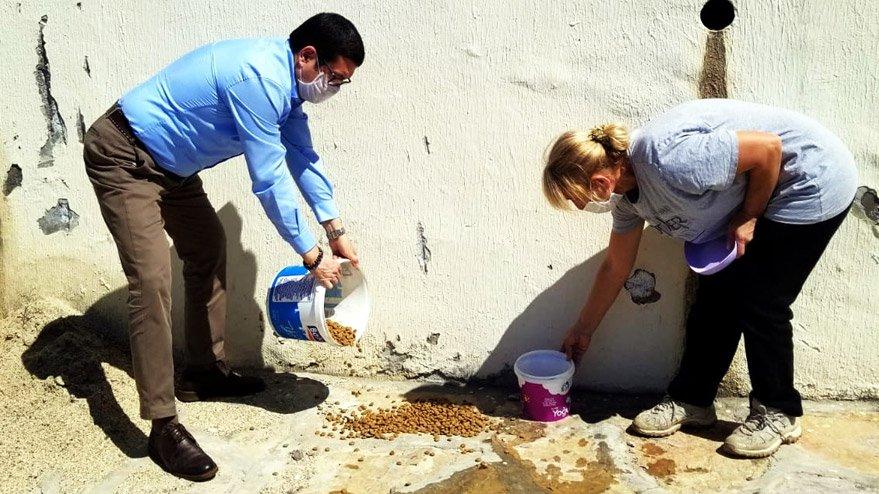 Sokağa çıkma yasağında sokak hayvanlarını unutmadılar