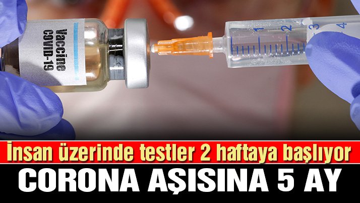 Son dakika... Açıklama Oxford Üniversitesi'nden geldi: Corona aşısı Eylül'de geliyor
