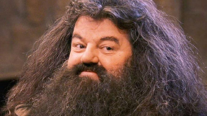 Harry Potter hayranlarına müjde! Hagrid ve Voldemort geri dönüyor