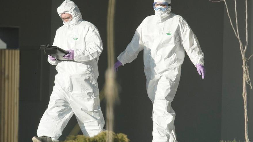 Corona virüsü araştırması: Virüs 4 metre uzağa bulaşıyormuş, ayakkabılar bulaştırıyor