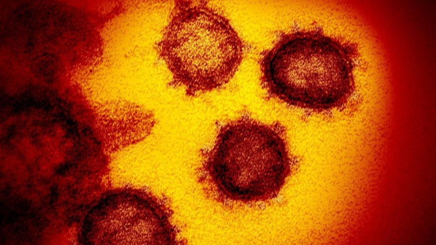 Son dakika… Corona virüsü ile ilgili korkutan keşif: Tam iki kat daha bulaşıcı
