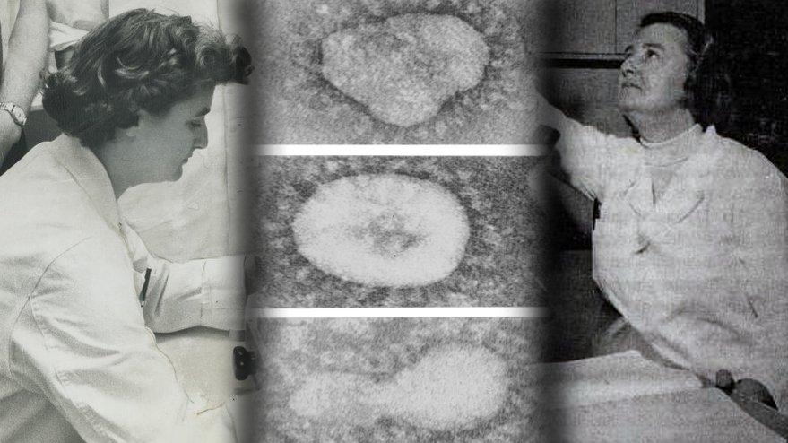 Corona ilk kez 1964’te keşfedilmiş! İşte virüsü bulan kadın…