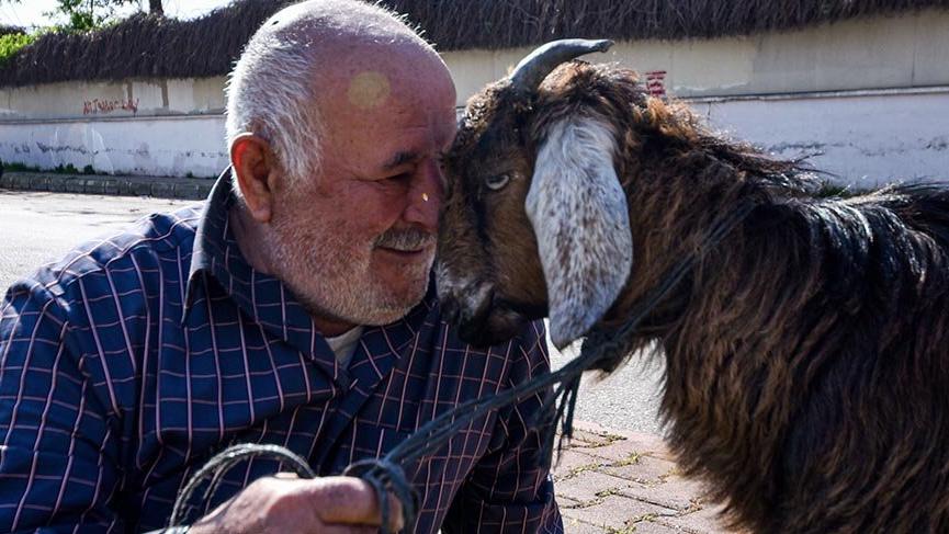 Bağ kurduğu yavru keçi ‘Yörük Kızı’nı, yanından ayırmıyor