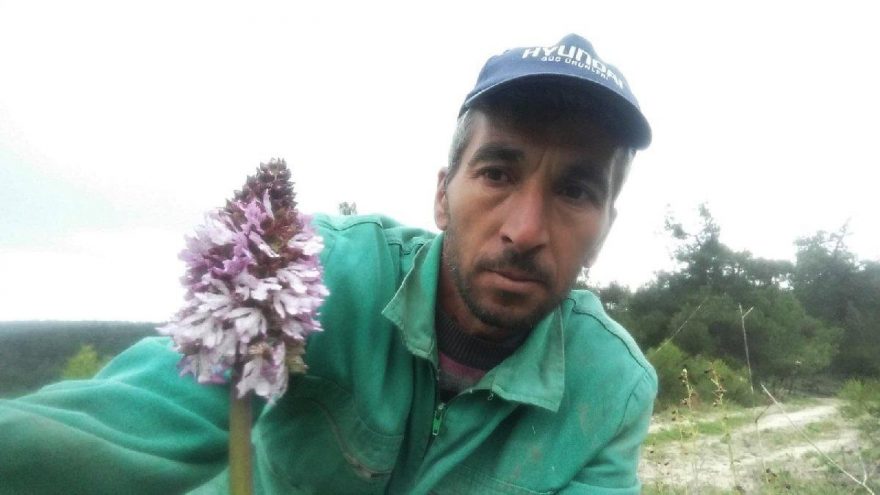 Koparmanın cezası 72 bin lira olan bitkiyle selfie çekti